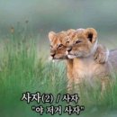 청하조명 - 평택시 비전2로 253 | 청하조명