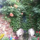 편한게스트하우스 이미지