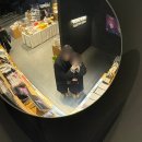 프라자아르떼미술학원 | 강릉 아르떼 뮤지엄 전시 후기 ( +무료로 다녀온 방법 )