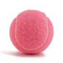 두리애견용품 이미지