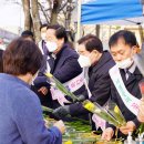 진천읍행정복지센터 앞 이미지