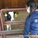 수근목장 이미지