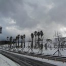 야자수정원 이미지