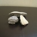 한아름 사슴 농장 이미지