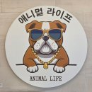 참조은주유소 이미지