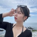 호야애견 | 포항 TITF 카라반 C구역 내돈내산 후기 (예약 꿀팁, 애견동반 가능)