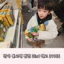 돌고래와펭귄 | 남아선물추천 판다 돌고래 펭귄 3in1 레고 31165 구입후기