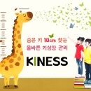 키네스 이미지