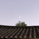 통인 1939