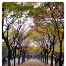 중앙화원 이미지