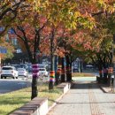 KT군포지사 이미지