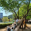 양육자가 알아야 할 성교육 첫걸음 | 초등학생 학교폭력, 꼭 알아야 할 학폭 이야기 『이것도 학교폭력인가요?』 후기