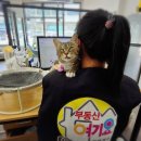 강원부동산 중개사무소 이미지