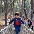 솔바람 유아숲체험원 이미지
