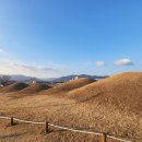 (주)한방촌 | 아빠와아들의 전국역사여행 위로의도시 "경산시"