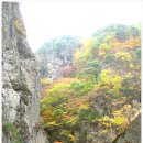 2015.10.24(토)당일. 주왕산 가을단풍 & 주산지 왕버들 단풍여행 이미지