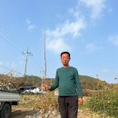 일심2로 R 이미지