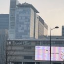 봄나들이 미술관투어 | 경복궁 하루 코스 추천 | 경복궁 인근 청와대 사랑채·박물관·미술관 하루 나들이 코스 총정리