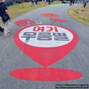 삼화오토바이 | 2026 동해 무릉별유천지 라벤더 축제 마지막날 후기