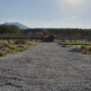 두대농장 이미지