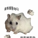 스노우의원 안산점 이미지