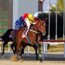 삼관목장 이미지