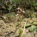 미림농원 이미지