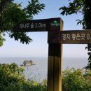 독용산성자연휴양림 이미지