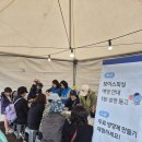금융안전