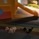 2026년 사랑스러운 일상들들 (4-6월💖)