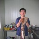 해모수