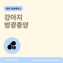 송정동물메디컬센터