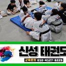 등촌태권도 이미지