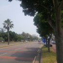 중문동-22 Daum카페