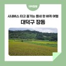 장동로~산디로 이미지