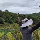 비야비야 이미지