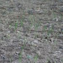 인암농원 이미지