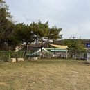 아이앤독 | 고양 애견운동장 아이앤독 솔직후기