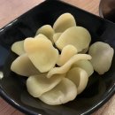 올바른숙성회