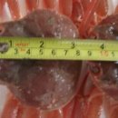 영덕대게 이미지