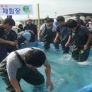 신노량2 이미지