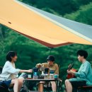 🏕️ 국내 최고의 캠핑장 추천 리스트