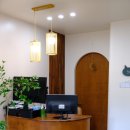 우다닥 고양이 호텔 이미지