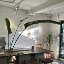 하우스오브컨티뉴(house of continew) 이미지