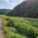 신천3리마을회관 이미지