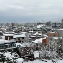 솔올정원 이미지