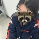 화랑마트자판기 | 전라광주 1센터 쿠팡 알바 후기 OB출고 (신청방법+급여, 꿀팁 포함)