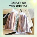 시그니처 엘피스