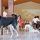 국민여가캠핑장 이미지