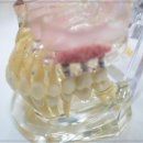 햇살치과의원 이미지